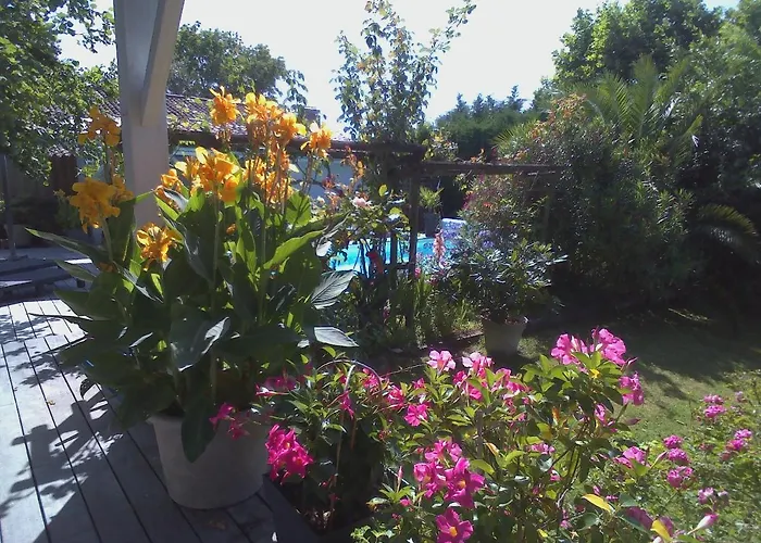 Les Arums de Fondeminjean