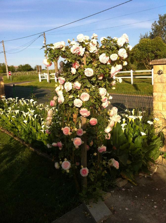 Les Arums De Fondeminjean Bed & Breakfast *