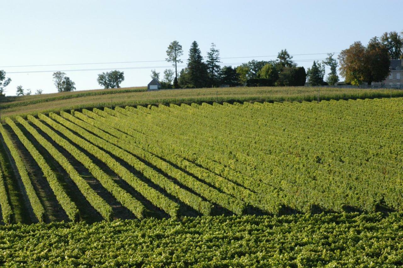 Les Arums De Fondeminjean
